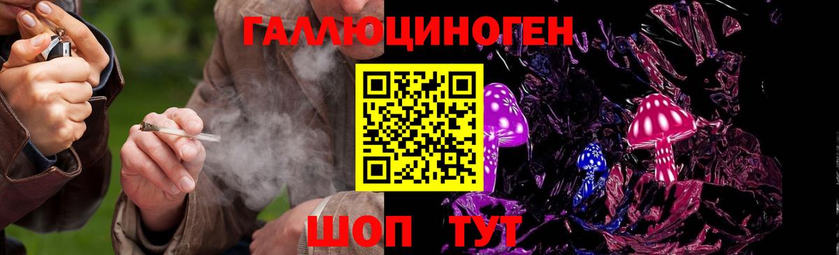 Псилоцибиновые грибы Psilocybine cubensis Корсаков