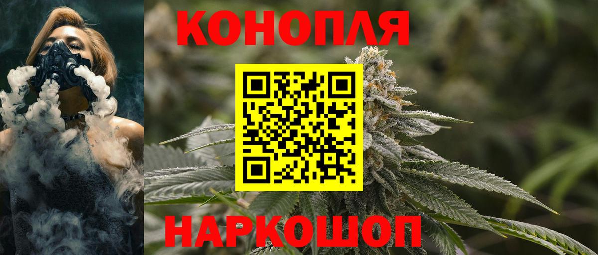 Конопля гибрид Корсаков
